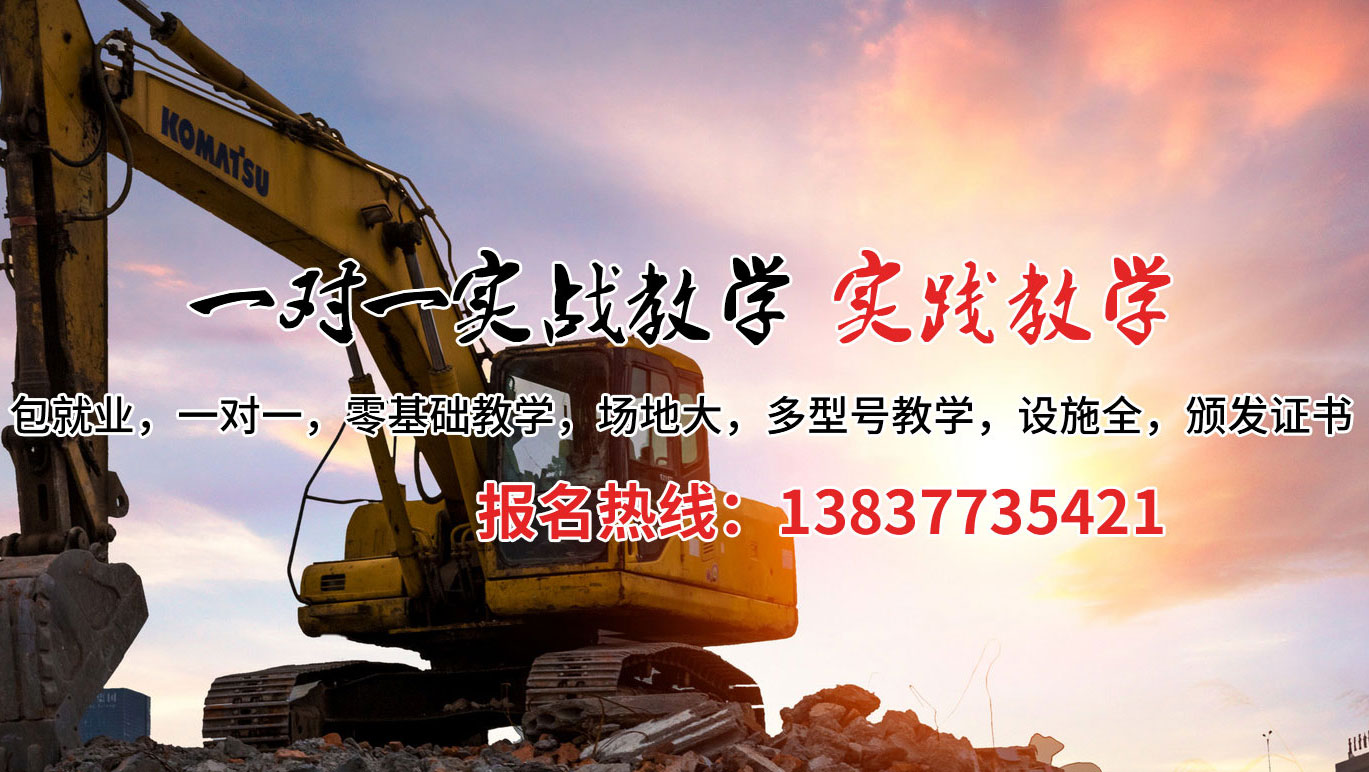 茶陵县挖掘机培训案例